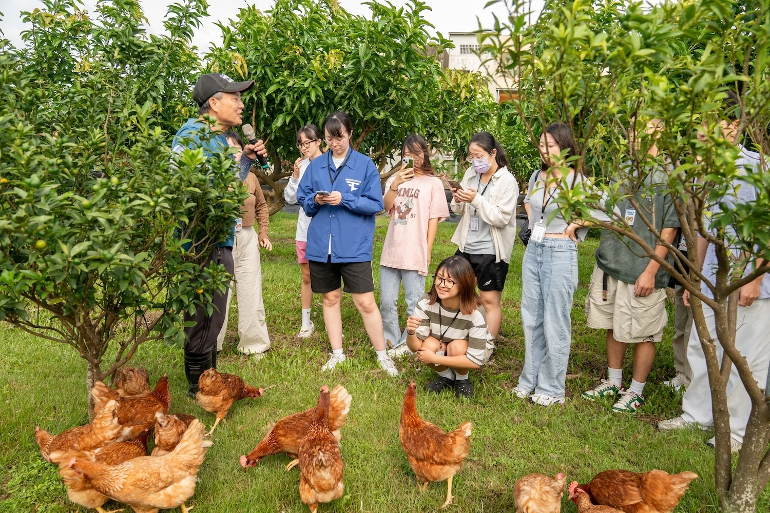 113年度成果照片 2